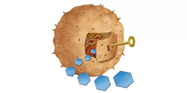İnsülin Direnci Nedir?