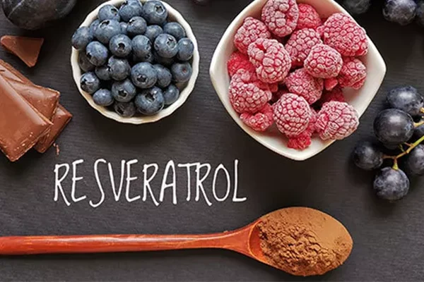 Resveratrol: Gençlik İksiri mi, Yoksa Sadece Bir Antioksidan mı?